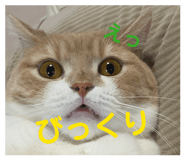 880756790