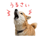 880759380