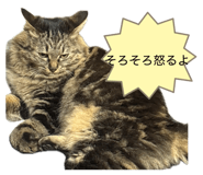880759406