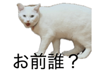 880759421