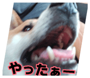 880759550