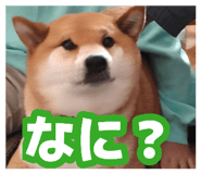 880759554