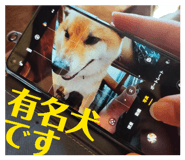 880759556