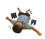 880759584