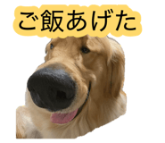 880759720