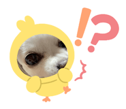 880761362