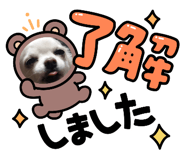 880761366