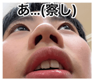 880798811