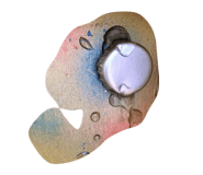 880799137