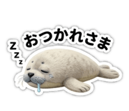 880799774