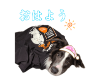 880800265