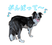 880800267