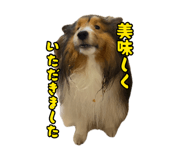 880802330