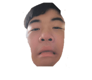 880802651