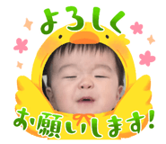 880803043