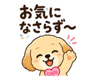 880803995