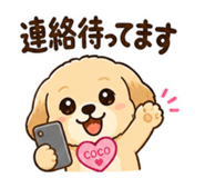 880804015