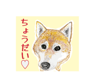 880804225