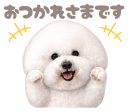 880805519
