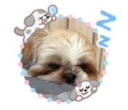 880806208