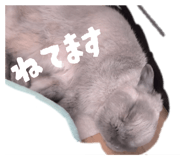 880806409