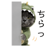 880806669
