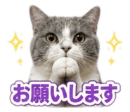 880807021