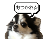 880817267