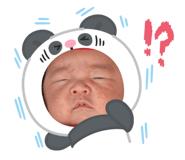 880818023