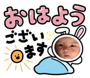 880818031