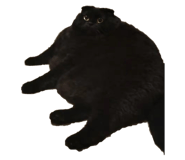 880818697