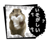 880820353