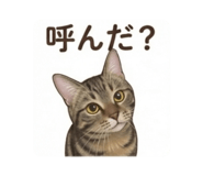 880821485