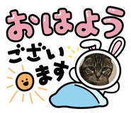 880823989