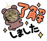 880823990