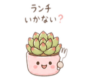 880824023