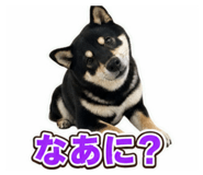 880824234
