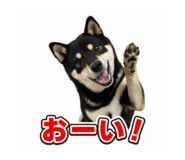 880824239