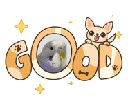 880827894