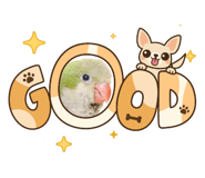 880827976