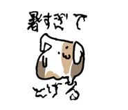 880830632