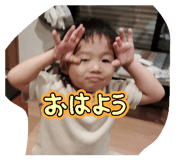 880831217