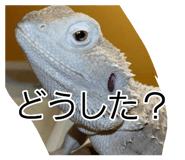 880831958