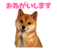 880833337