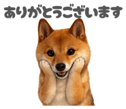 880833340