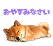 880833342