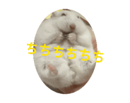 880834164