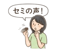 880835634