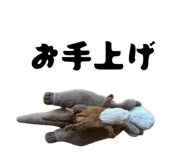 880836332