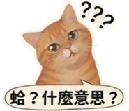 880838202